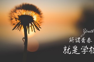 CBA季后赛最佳数据王，cba季后赛最高得分