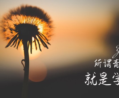 CBA季后赛最佳数据王，cba季后赛最高得分
