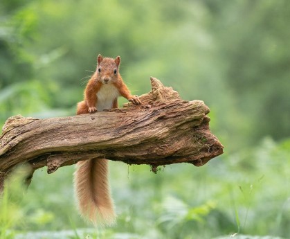 2026 马拉松大满贯：中国选手在波士顿跑进前 10 带来的震撼。，六大马拉松大满贯 费用
