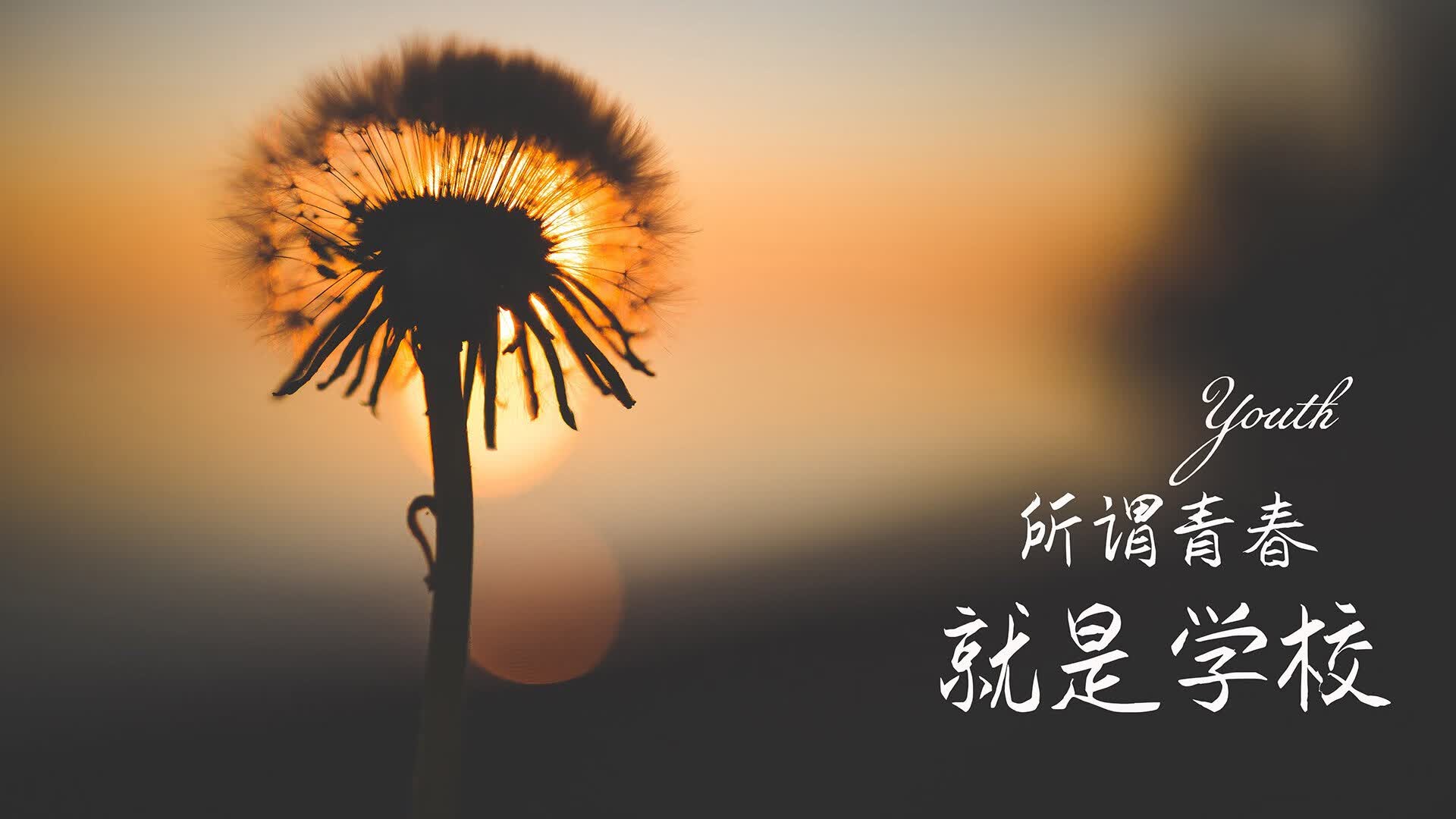 CBA季后赛最佳数据王,cba季后赛最高得分